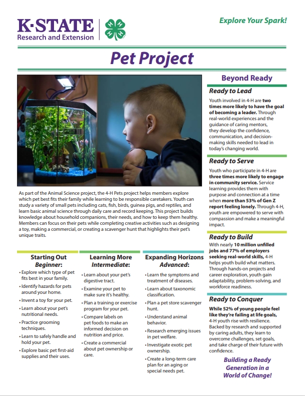 Pet Project - Spark Page Image Thumbnail